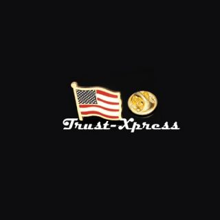  FLAG AMERICAN GOLD PLATED LAPEL PIN BADGE HAT / TIE TACK PIN BROOCH