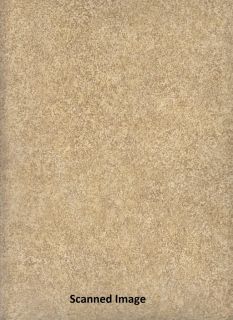 Textured Wallpaper Faux Sand Sidewall Gold Brown Background