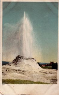 Postcard 917635 Yellowstone Park Castle Geyser