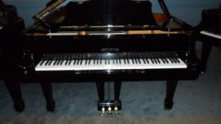 Grinnell Brothers Model GB 650 61 Grand Piano Ebony Polish