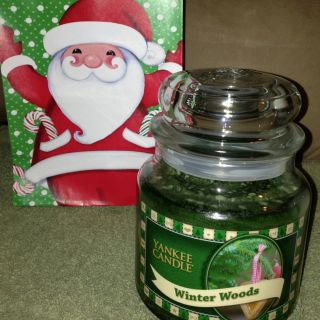 Yankee Candle Free Gift Bag Winter Woods Smells Like Pine 14 5