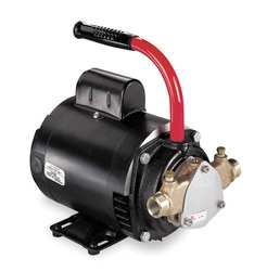 Teel 1V393 Flexible Shaft Pump with 1 3 HP9ND36 Dayton Motor