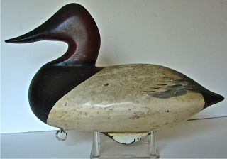 Duck Decoy Old Canvasback Drake Great Paint and Form 441