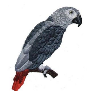 Red Tail Congo African Grey Parrot Bird Iron on Patch
