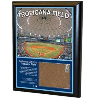 Sports Tropicana Field 8 x 10 Game Used Dirt Plaque