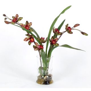 LabsInc. 16 Spider Orchid Floral Arrangement