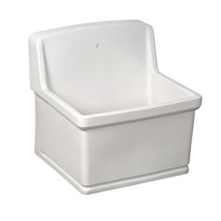 CraneFaucet 22 x 20 Service Sink in White   7H503100