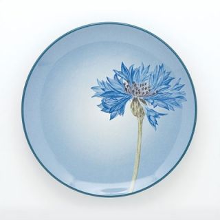 Noritake Colorwave Blue 8.25 Corn Flower Accent Plate   8484 451