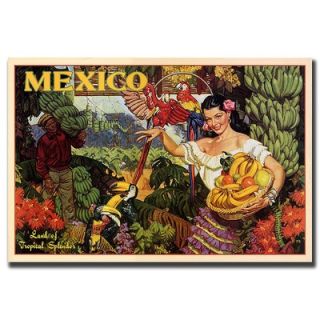  Global Mexico, Traditional Canvas Art   32 x 24   V7066 C2432GG