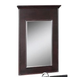 Schon 24 x 36 Portrait Vanity Mirror in Espresso   80141