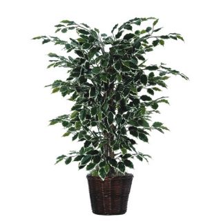 Bushes 4 Artificial Potted Natural Variegated Ficus Tree in Dark G