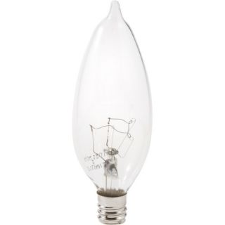 Decor B10 40 Watt 120 V Incandescent Bulb in Clear (Set of 2)