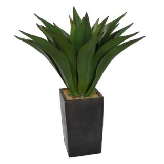 Laura Ashley Home 44 Realistic Giant Aloe Plant in Contemporary