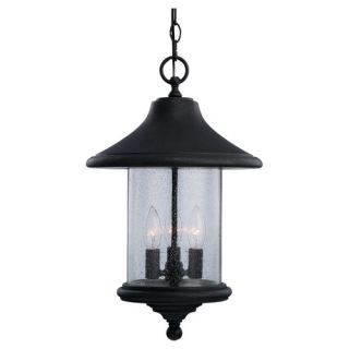  Gilded Iron Chain Hung Incandescent Outdoor Lantern   P5521 71