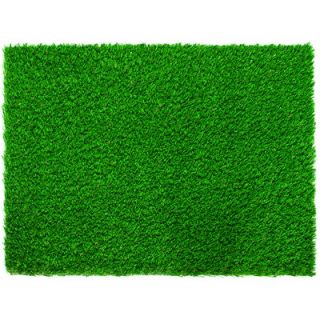 Everlast Diamond Pro Spring 90 x 90 Synthetic Lawn Grass Turf
