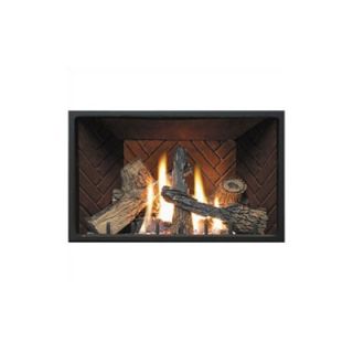 Napoleon The Dream Direct Vent Gas Fireplace
