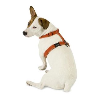 Dog Harnesses Dog Harnesses Online