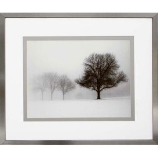 Phoenix Galleries Winter Trees I Framed Photograph