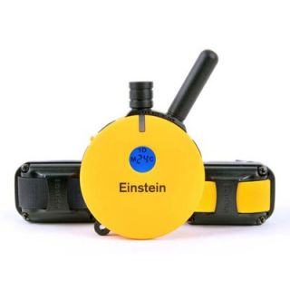 Collar Technologies Einstein Remote Trainer 3/4 mile Dog Collar