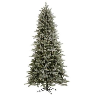 Frosted Frasier Fir 6.5 Artificial Christmas Tree with LED Lights