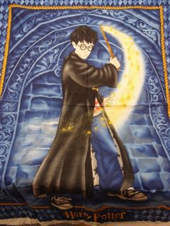 Harry Potter Quilt Top Fabric Panel 2001 Retired New