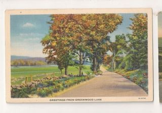 Greetings from Greenwood Lake USA Vintage Postcard 0334