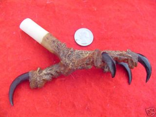 Bald Eagle Foot Claw Talon Taxidermy Hunting Bone Golden Eagle Open