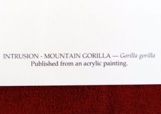 INTRUSION MOUNTAIN GORILLA ORIGINAL PAPER LIMITED EDITION ROBERT