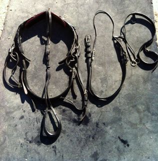 Patent Leather Horse Harness   Complete Set   Horse Size