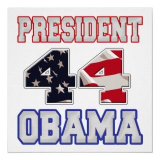 You cast your vote, and Barack Obama is now the 44th president of the