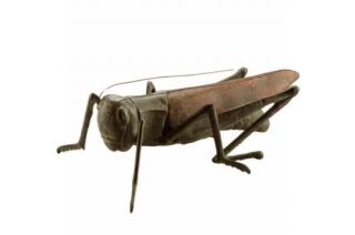 Large Cast Iron Garden Cricket Grasshopper Statue