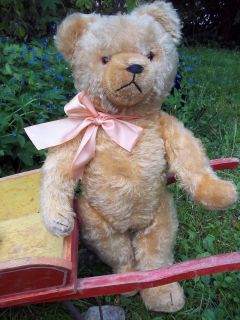 This is a marvelous antique HERMANN Teddy Bear in very good condition