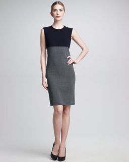 Fitted Sleeveless Sheath Dress  