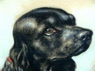 Wolcott Listed Antique Pastel Spaniel Dog Painting
