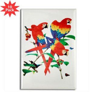 Rectangle Magnet (10 Pack) Family Of Parrots On Tree