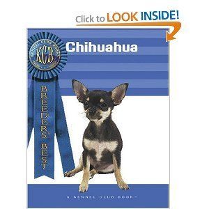 Chihuahua Breeders Best A Kennel Club Book Ann Hearn New Book