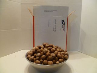 Medium Flat Rate Box of 2012 Georgia Hickory Nuts 13 Pounds