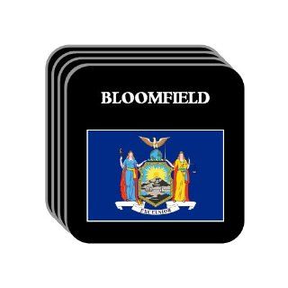 US State Flag   BLOOMFIELD, New York (NY) Set of 4 Mini