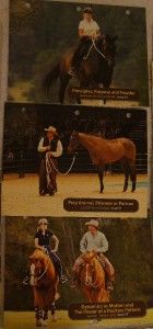 COLLECTION OF NATURAL HORSEMANSHIP DVDS MAGAZINES AND PRESSURE HALTER