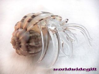Hermit Crab Art Glass Vole Sea Shell Animal Figurine
