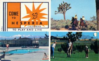   Desert Golf Horses Pool Los Angeles Hesperia Ca Calif California