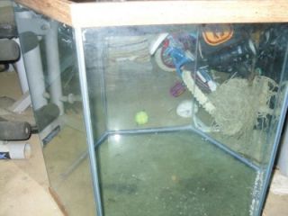 90 gallon hexagon tank fish tank aquarium rare
