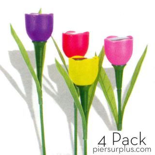 Hollander Solar Tulip Lights Landscape Ornament Pack of Four Colors