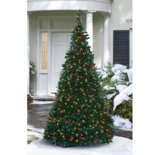 Pre Lit Pull Up Christmas Tree, Clear