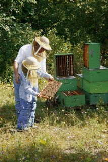 Organic Bee Farm Raw Honey 22 oz ♥really Raw ♥healthy Choice