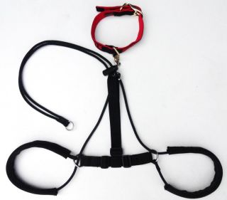 No Pulling Jumping Horgan Dog Harness First Back Leg Harness Invented