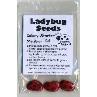 Ladybug Seeds   Colony Starter Kit   Grow Your Own