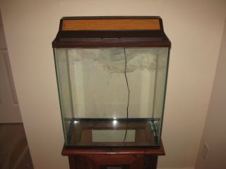 20 Gallon Fish Tank with Stand and EXTRAS