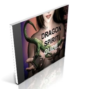   CD DRAGON SPIRIT GUIDE HOW TO CARE FOR dragon spirits TIPS COOL INFO