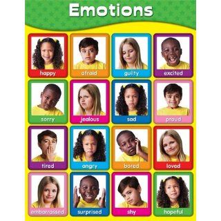 Emotions Laminated Chartlet    Case of 7 